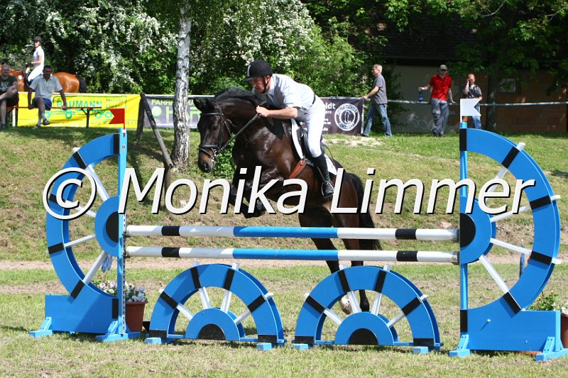 204M5415_Sirius Black_Spring_L.JPG